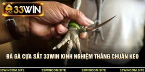 Đá gà cựa sẳt 33win kinh nghiệm thắng chuẩn kèo