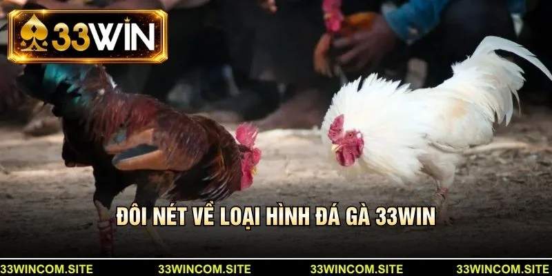 Đôi nét về loại hình đá gà 33win