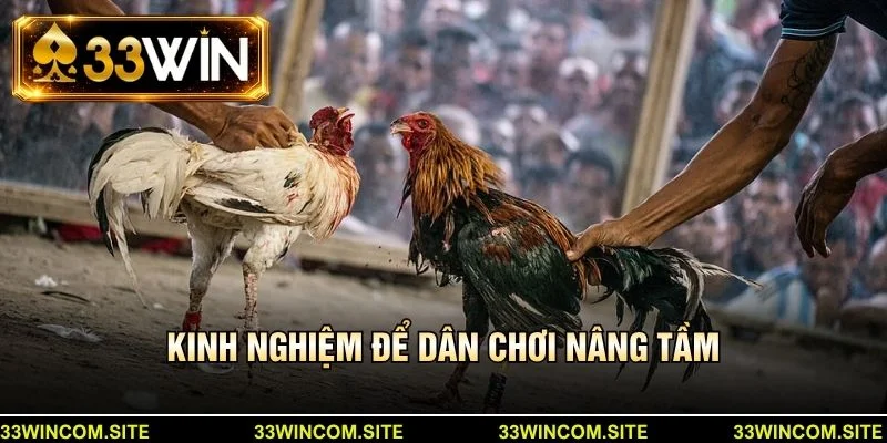 Kinh nghiệm để dân chơi nâng tầm