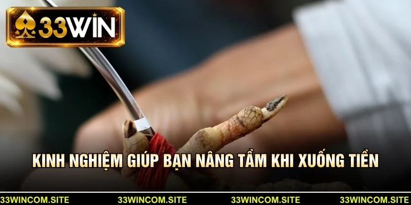 Kinh nghiệm giúp bạn nâng tầm khi xuống tiền