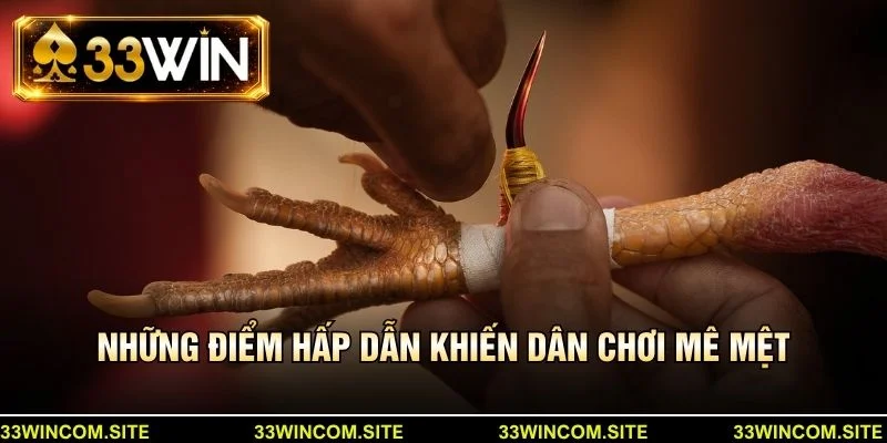 Những điểm hấp dẫn khiến dân chơi mê mệt