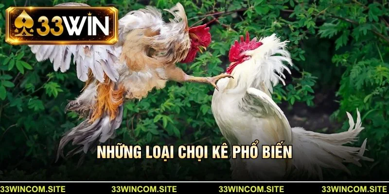 Những loại chọi kê phổ biến