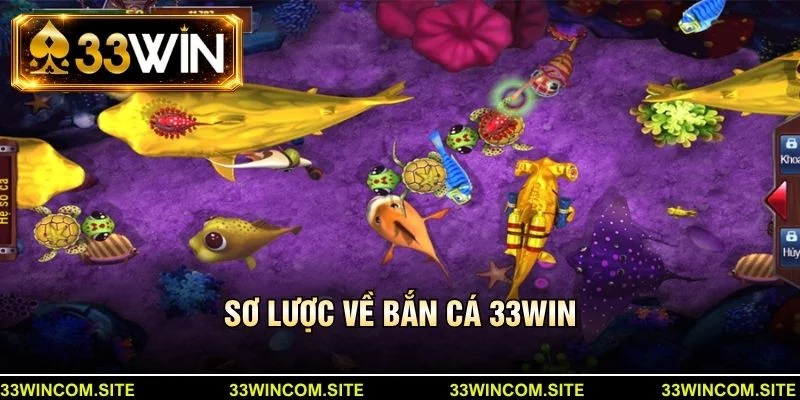 Sơ lược về bắn cá 33win